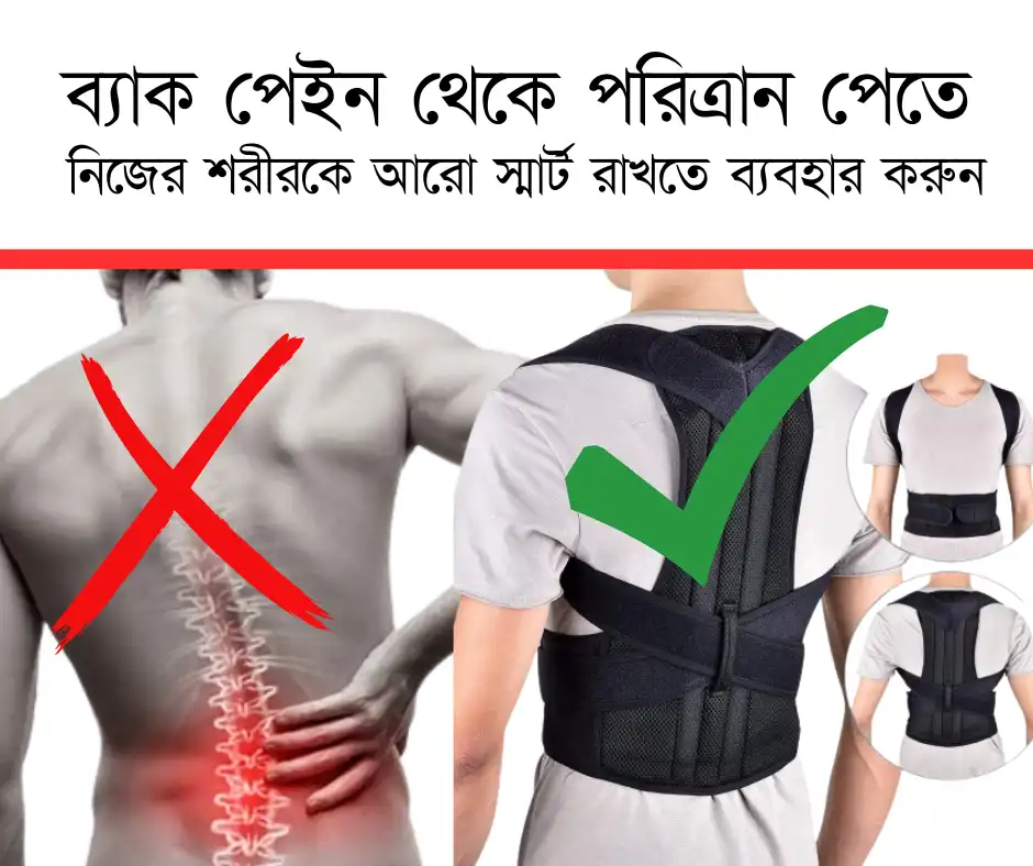 Royal Posture Back Support Belt